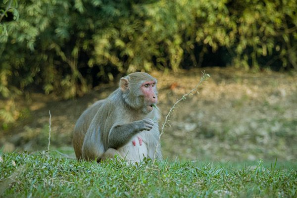 Secrets essentiels pour réussir votre projet de rénovation d'ampleur