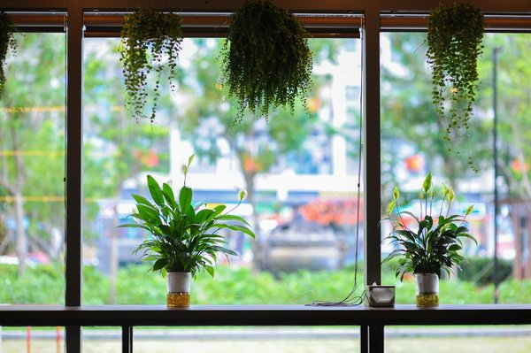 Le Rôle Essentiel du Roman dans la Formation des Enfants : Un Voyage Éducatif et Littéraire